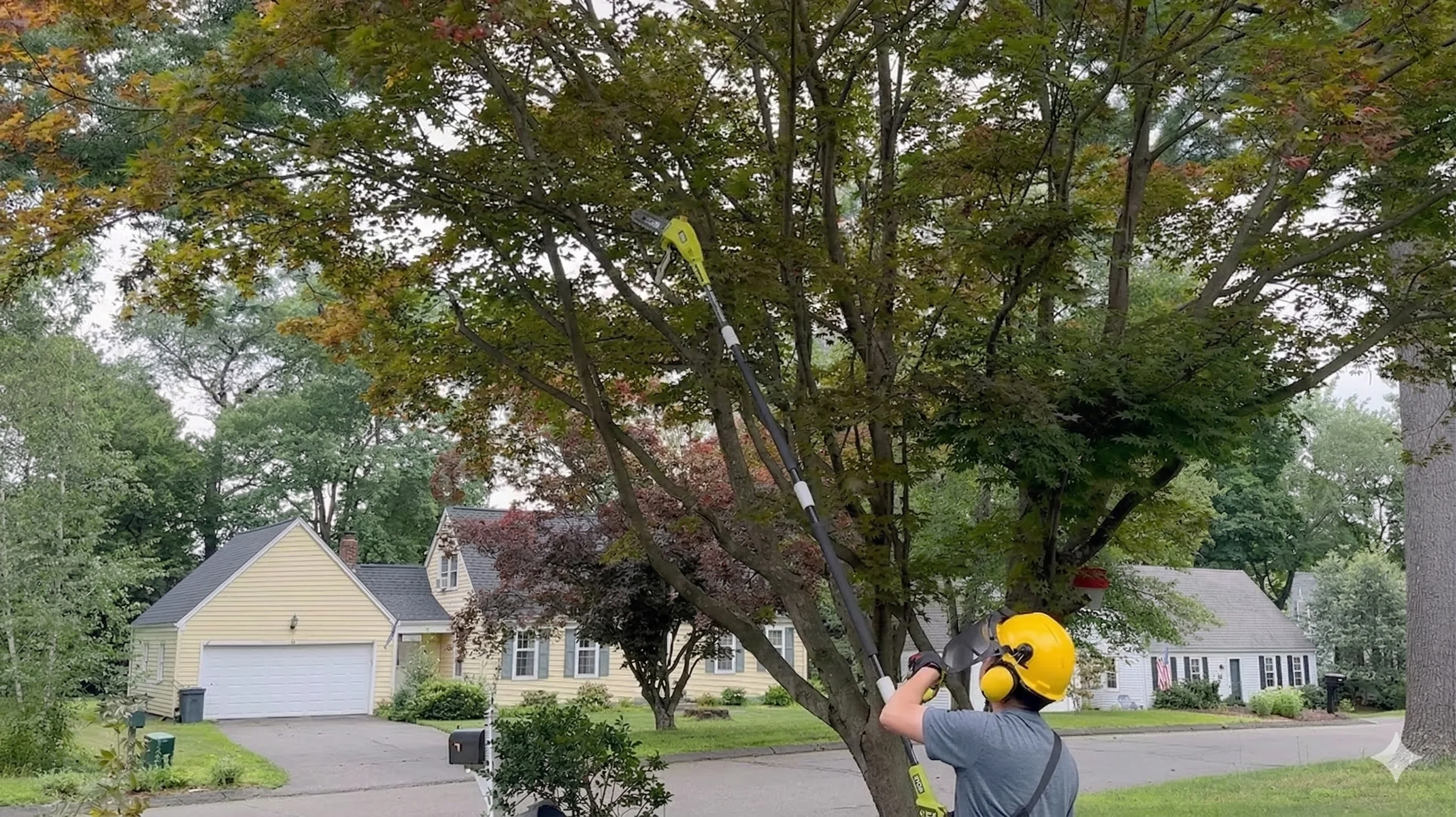 Ryobi 40V 10-Inch Pole Saw