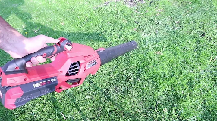 Skil PWRCore 40 Brushless Leaf Blower